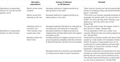 Diagnosing Norms Surrounding Sexual Harassment at a Jordanian University